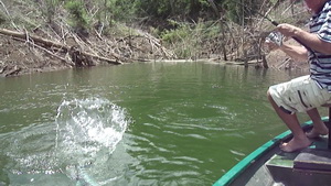 snakehead lure fishing chiang mai